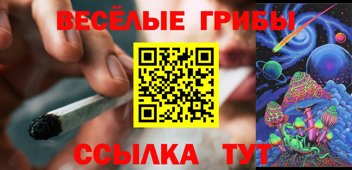 Псилоцибиновые грибы GOLDEN TEACHER Югорск